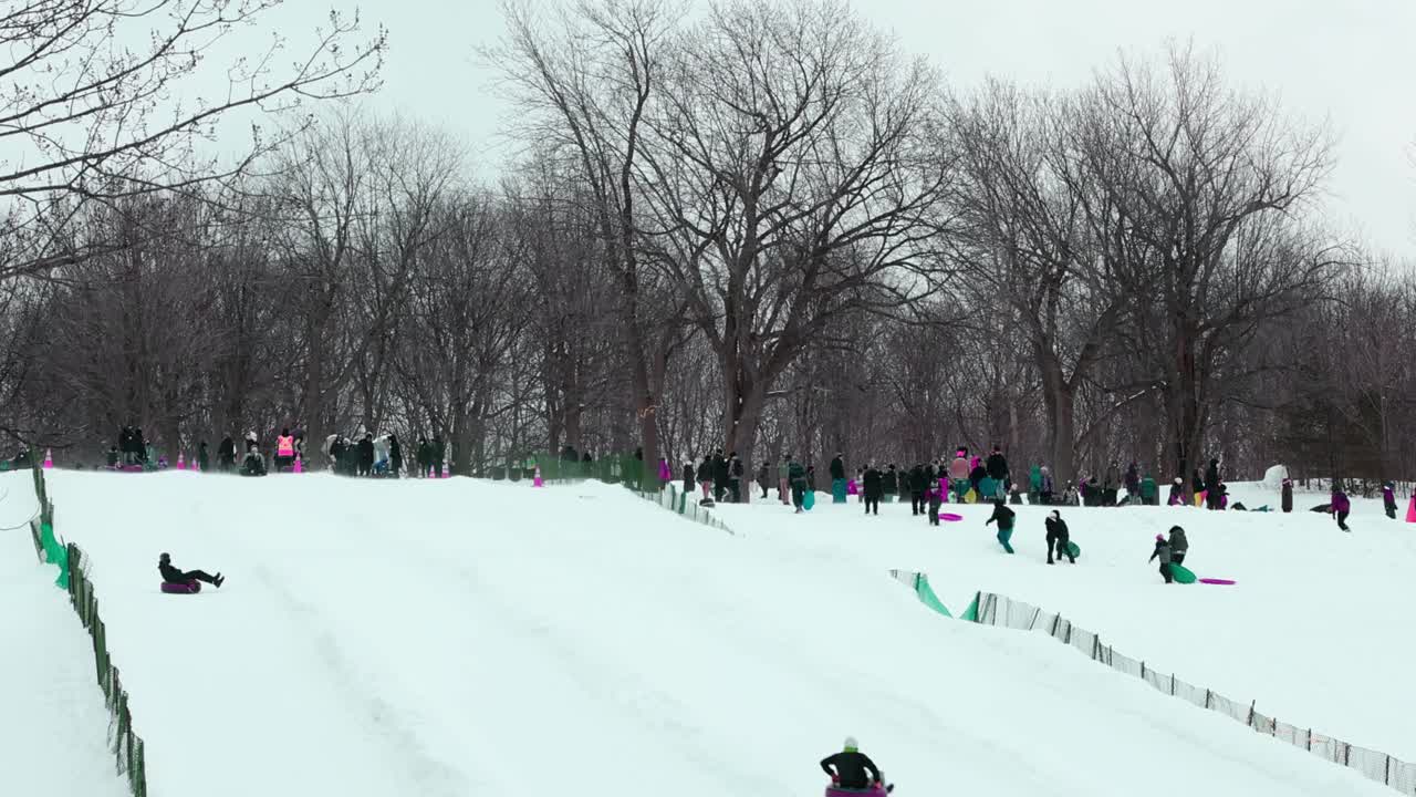 一群人在蒙特皇家公园享受冬日下午的雪橇视频素材