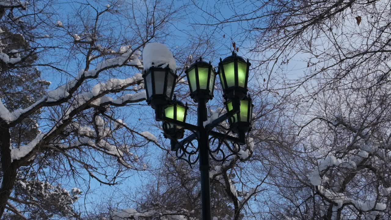 路灯用绿光映在蓝天下，树枝被雪覆盖的黑色剪影，路灯柱子用十字形结构视频素材