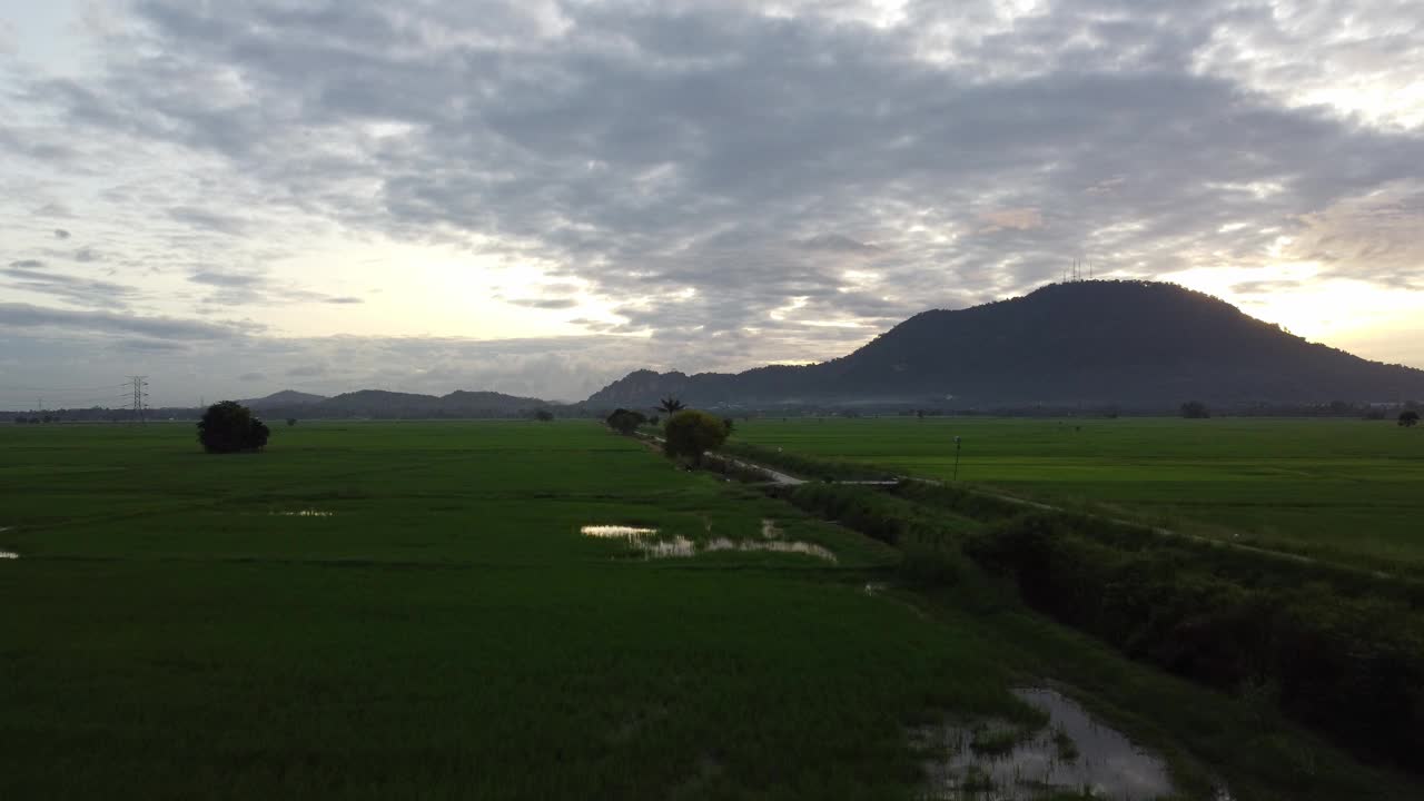 空中飞过稻田里的乡村公路视频素材