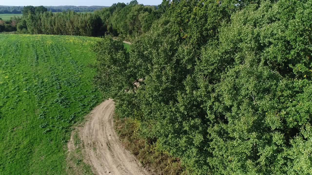 四周有几棵树的耕地视频素材