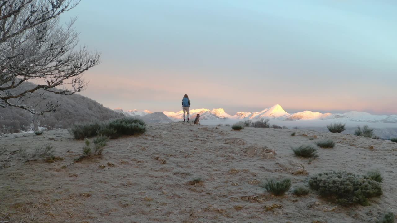 女徒步旅行者与背包和狗看雪山景观在日出的山顶上。鸟瞰图。视频素材