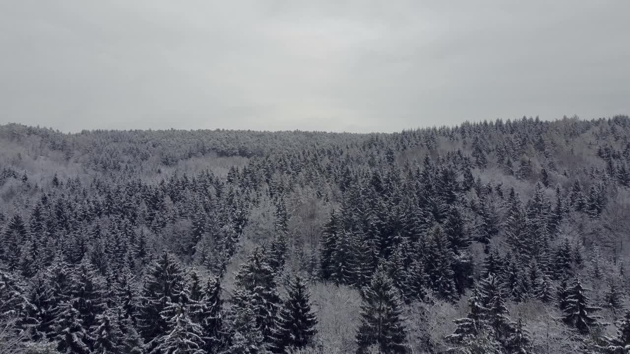 无人机在冬天阴天飞过白雪覆盖的大森林视频下载