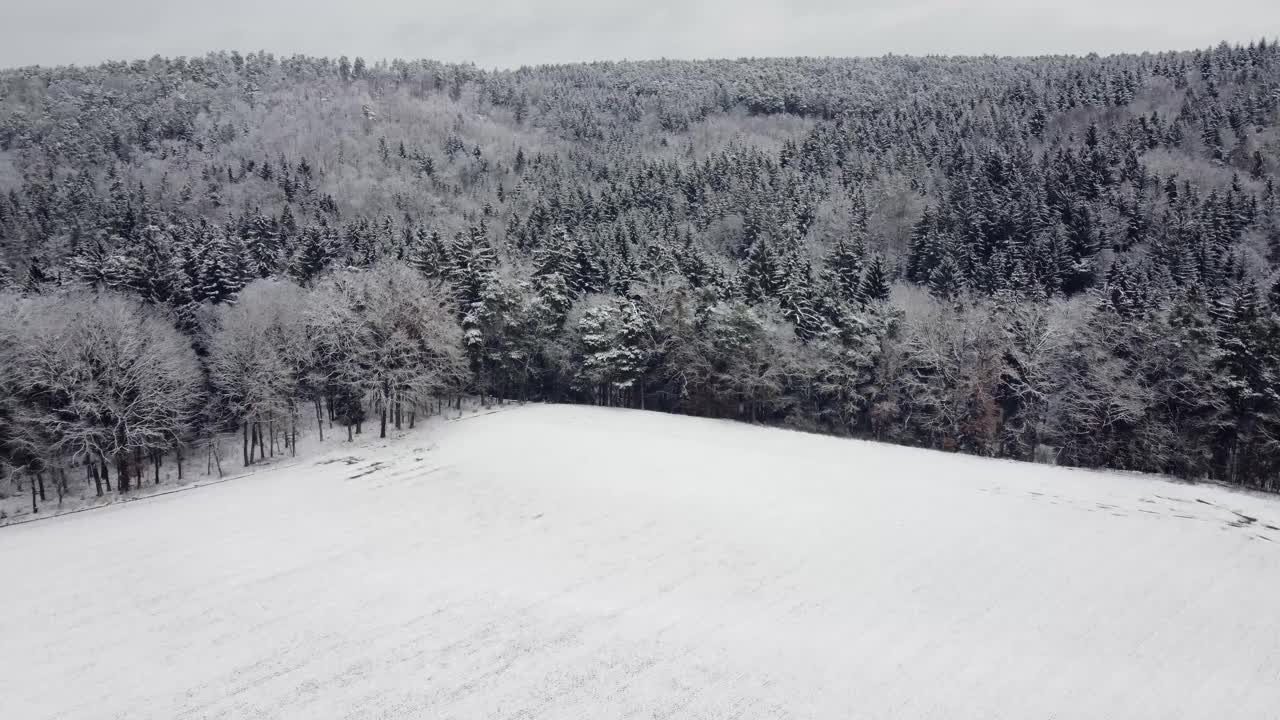 无人机在冬天阴天飞过白雪覆盖的大森林视频素材