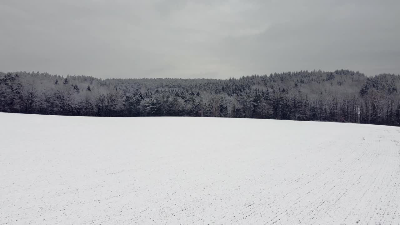 在阴天，无人机飞过被雪封的田野，朝着树木被雪覆盖的大森林飞行视频下载