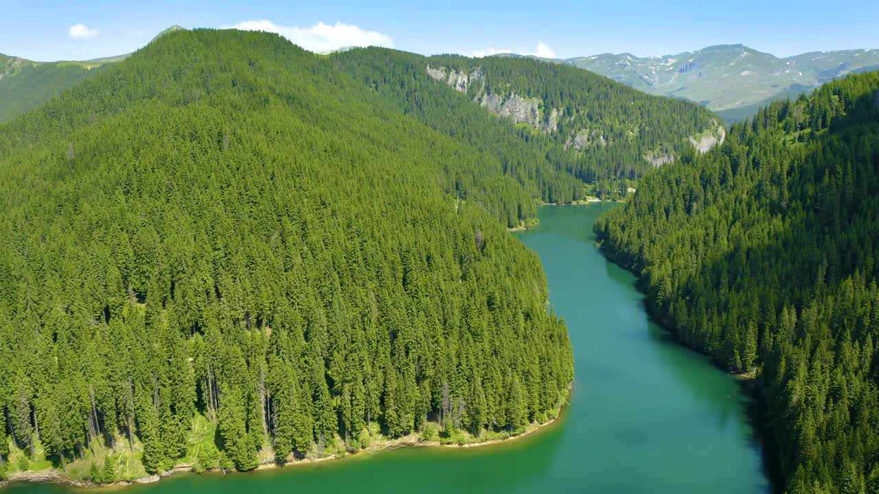 绿松石水在山上森林湖泊与松树。蓝色的湖泊和绿色的森林鸟瞰图。观湖间山林。越过晶莹剔透的高山湖水。淡水视频素材