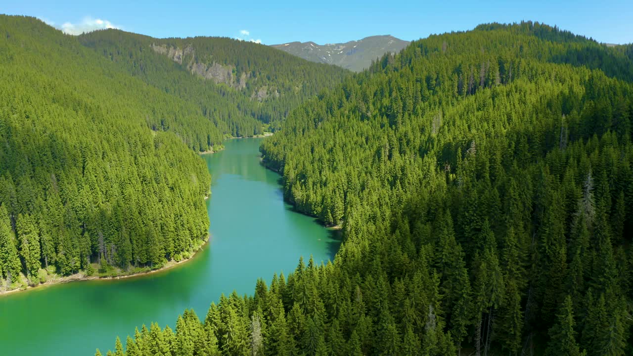 绿松石水在山上森林湖泊与松树。蓝色的湖泊和绿色的森林鸟瞰图。观湖间山林。越过晶莹剔透的高山湖水。淡水视频素材