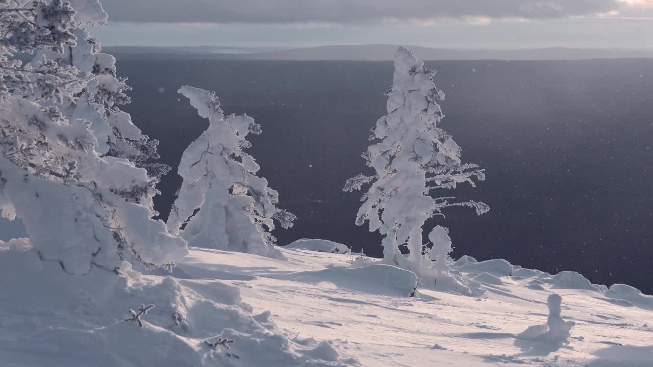 雪花在阳光下飘落。降雪在山坡上。冬天的风景。山顶上结霜的树。树枝因风和冰而摇摆。地平线上是一片白云和蓝天视频素材