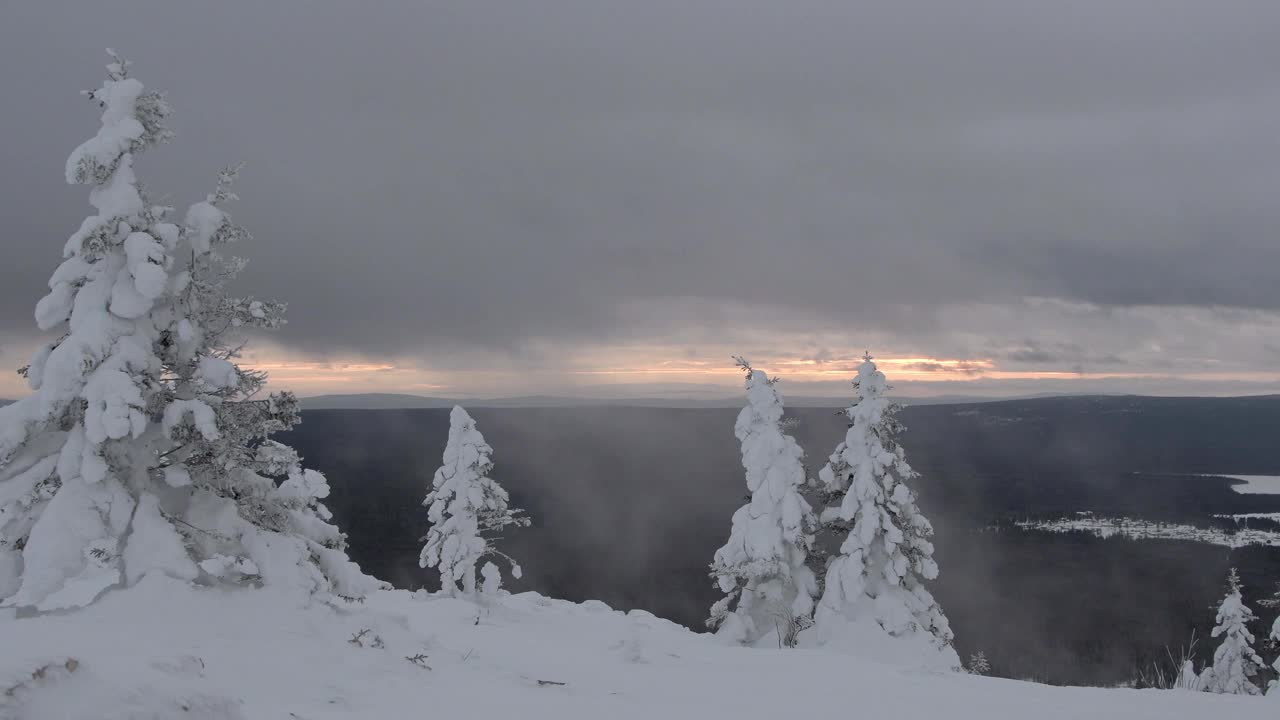 山顶上的雪树寂寞，树枝随风飘动。雾和云漂浮在冰冻的森林里。雪云笼罩着冬谷。地平线上出现一道曙光。视频素材