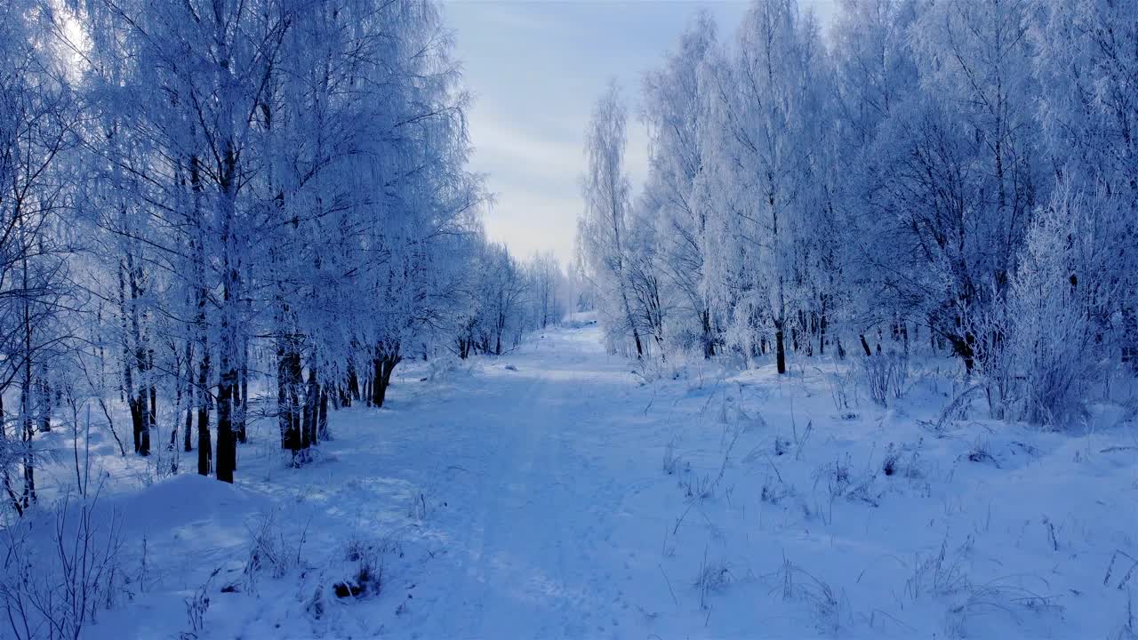 冬天的路上和森林里都有冰雪，树上结满了霜，路在雪地里结冰视频下载