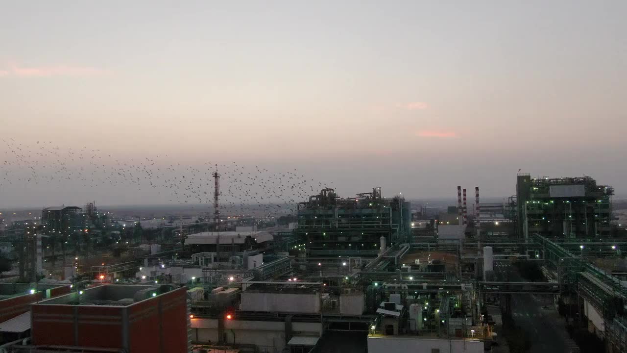 慢镜头鸟瞰图-以色列南部沙漠中，数千只椋鸟(Sturnus vulgaris)飞向烟囱里冒着烟的工厂视频素材