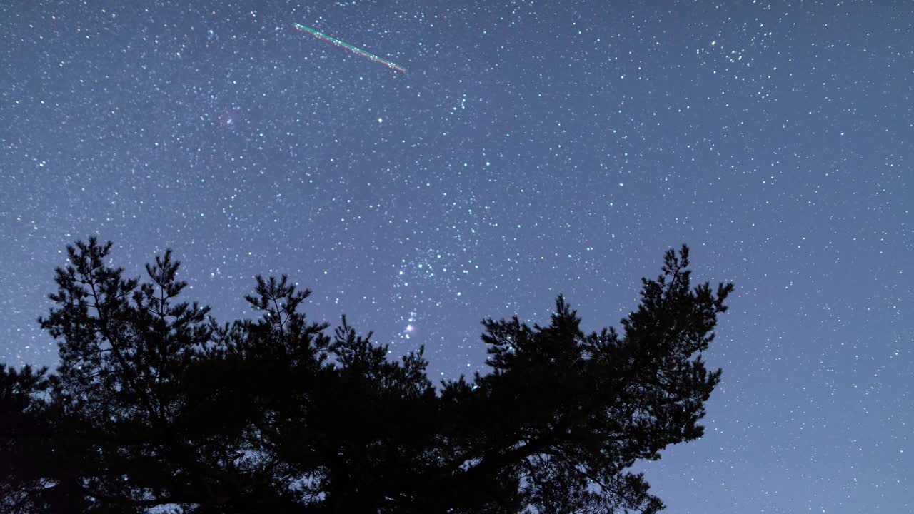 冬天的星星在松树上划过天空(延时)视频素材