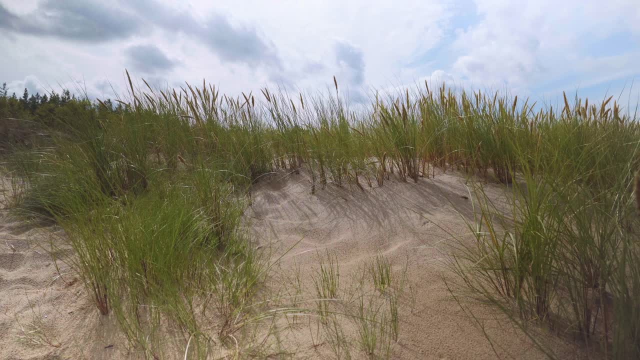 夏天在拉脱维亚的波罗的海海滩视频素材