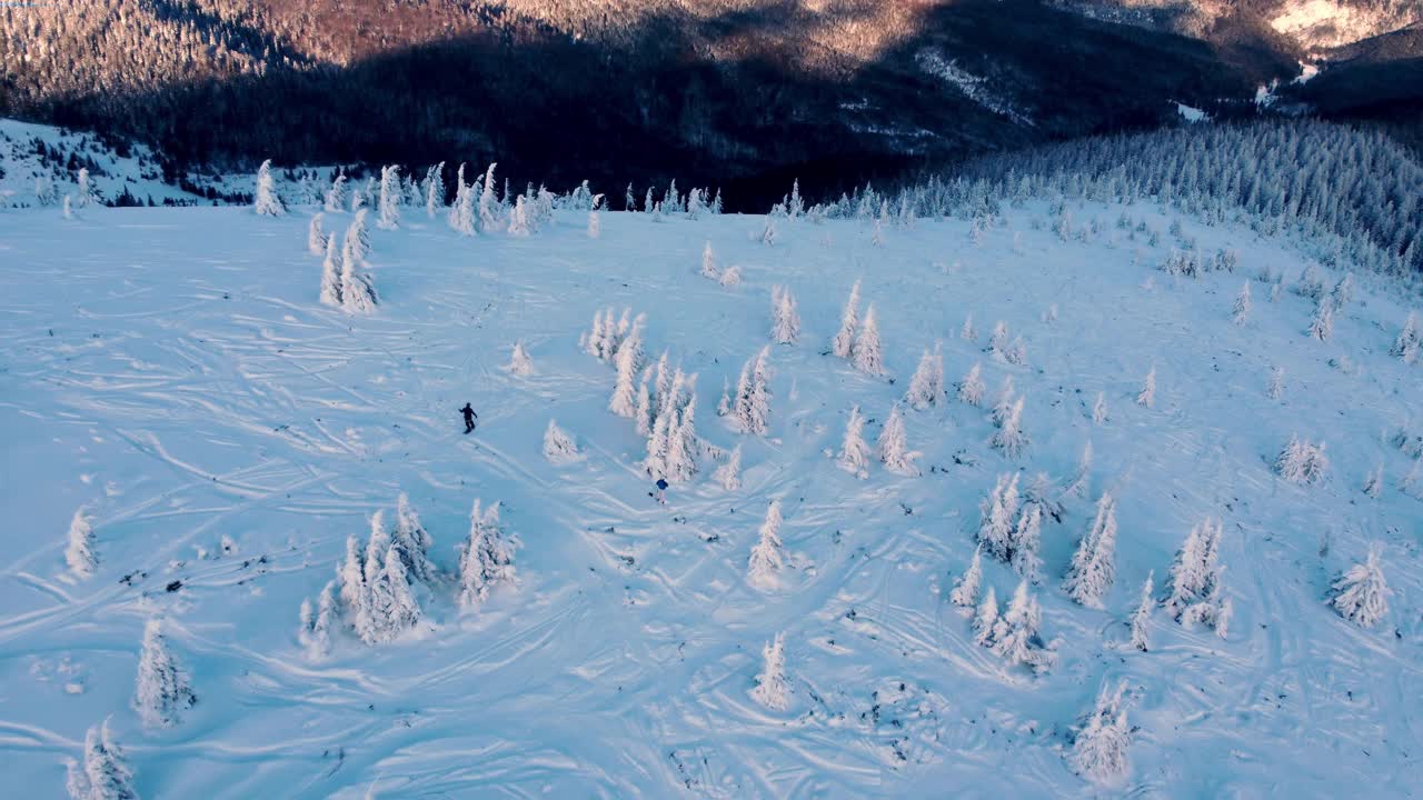 鸟瞰图。山顶上的自由骑手滑雪者。新鲜的粉。极速免费滑雪者从山顶滑雪。视频素材