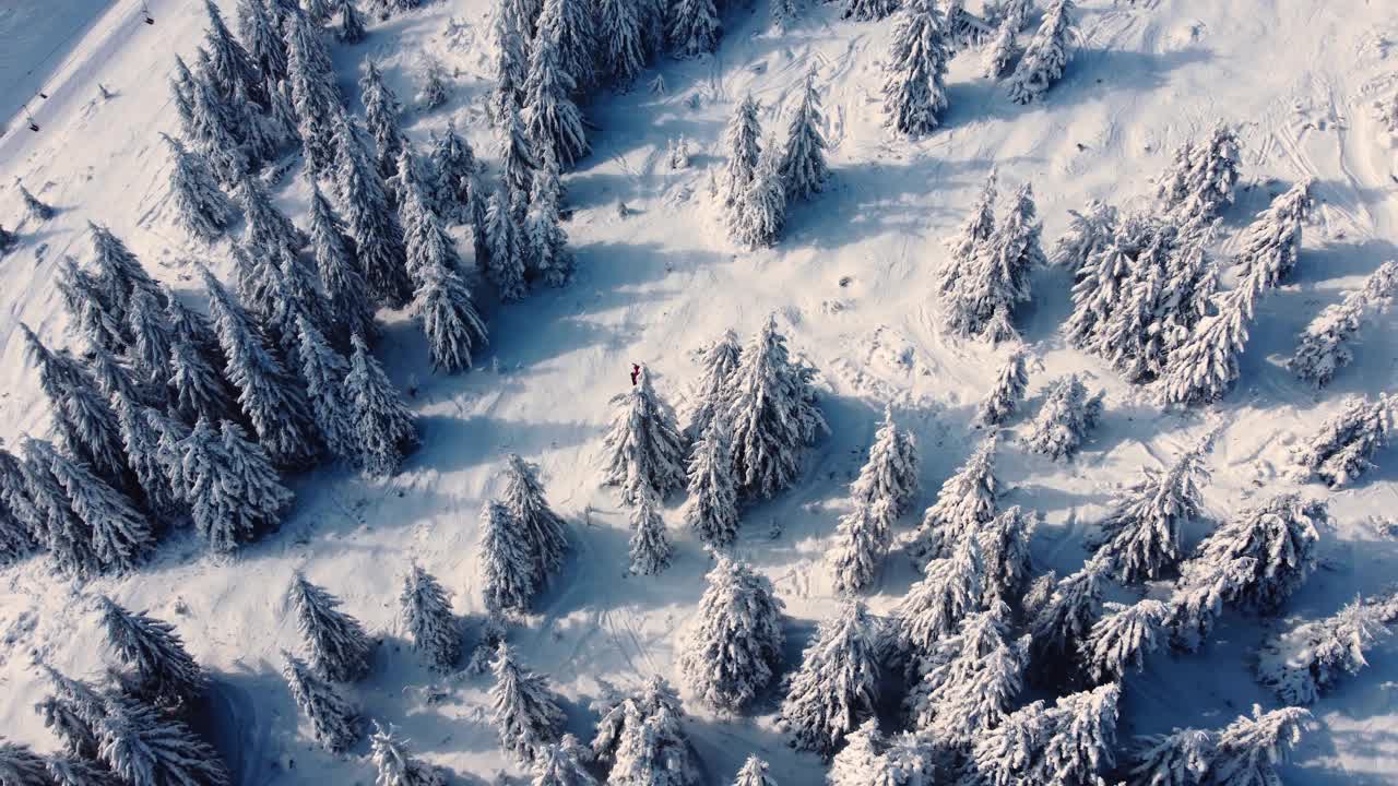 鸟瞰图。山顶上的自由骑手滑雪者。新鲜的粉。极速免费滑雪者从山顶滑雪。视频素材