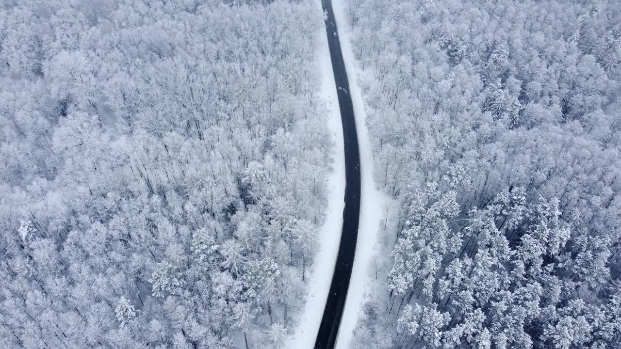 黑色柏油路之间的雪林从鸟瞰。视频素材