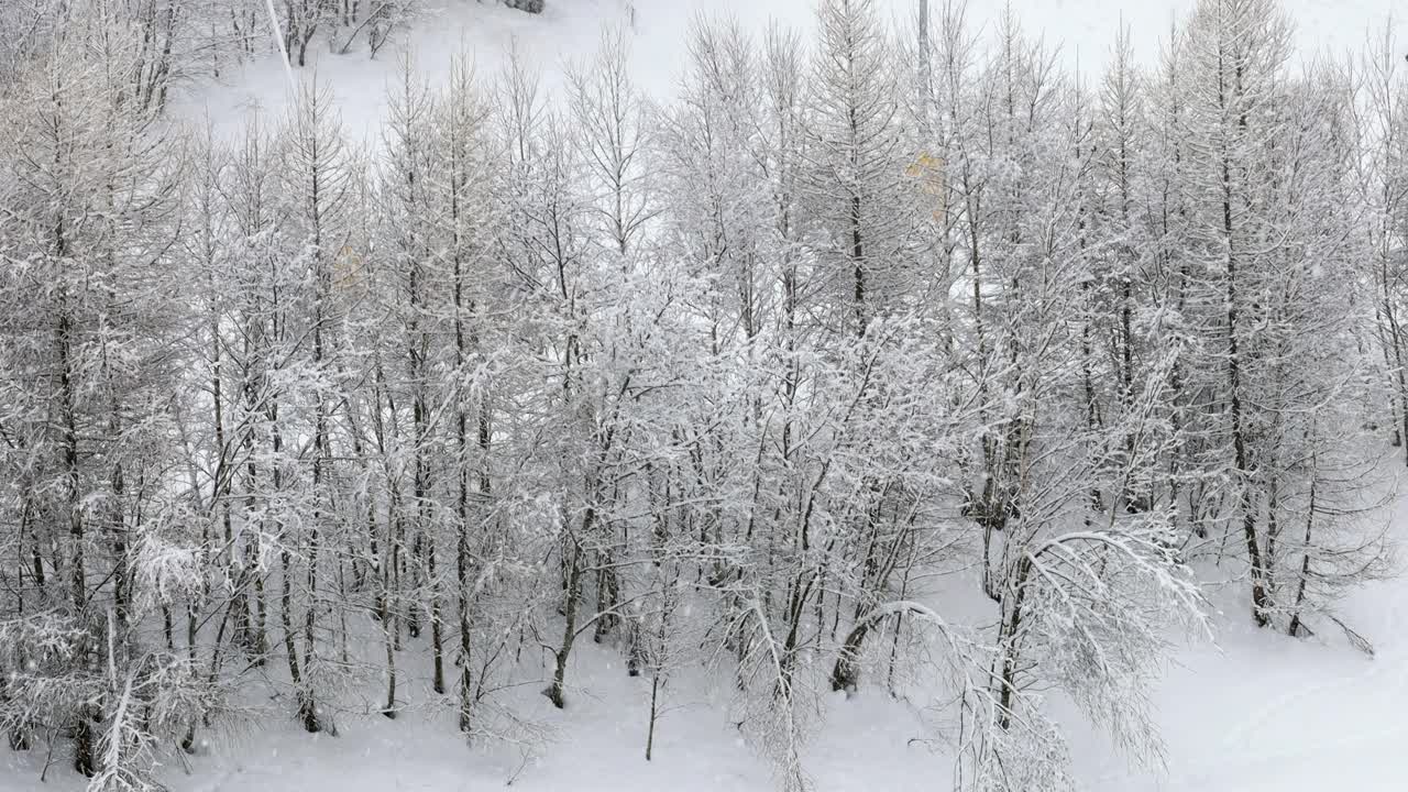 意大利阿尔卑斯山上下着大雪视频素材