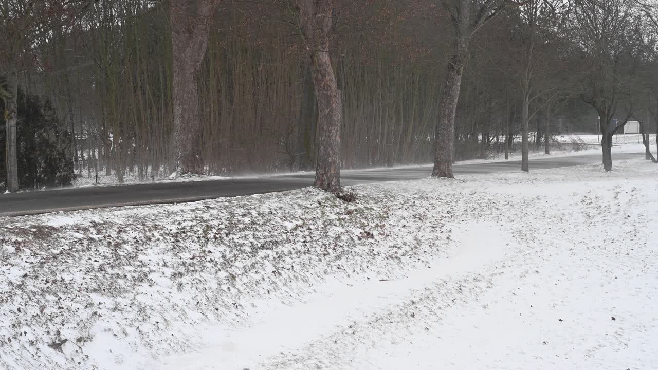 飓风风吹粉雪在乡村边靠近一个小乡村公路。Bandenburg。德国视频素材