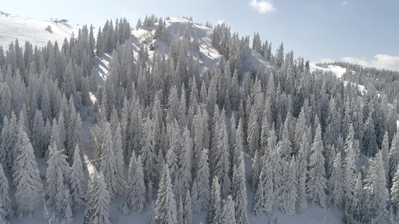 阳光明媚的冬日，滑雪胜地的新雪视频素材