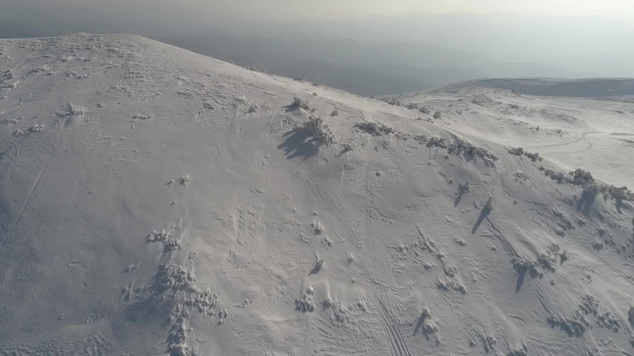 鸟瞰图冰冻森林与新鲜的雪覆盖的树木视频素材