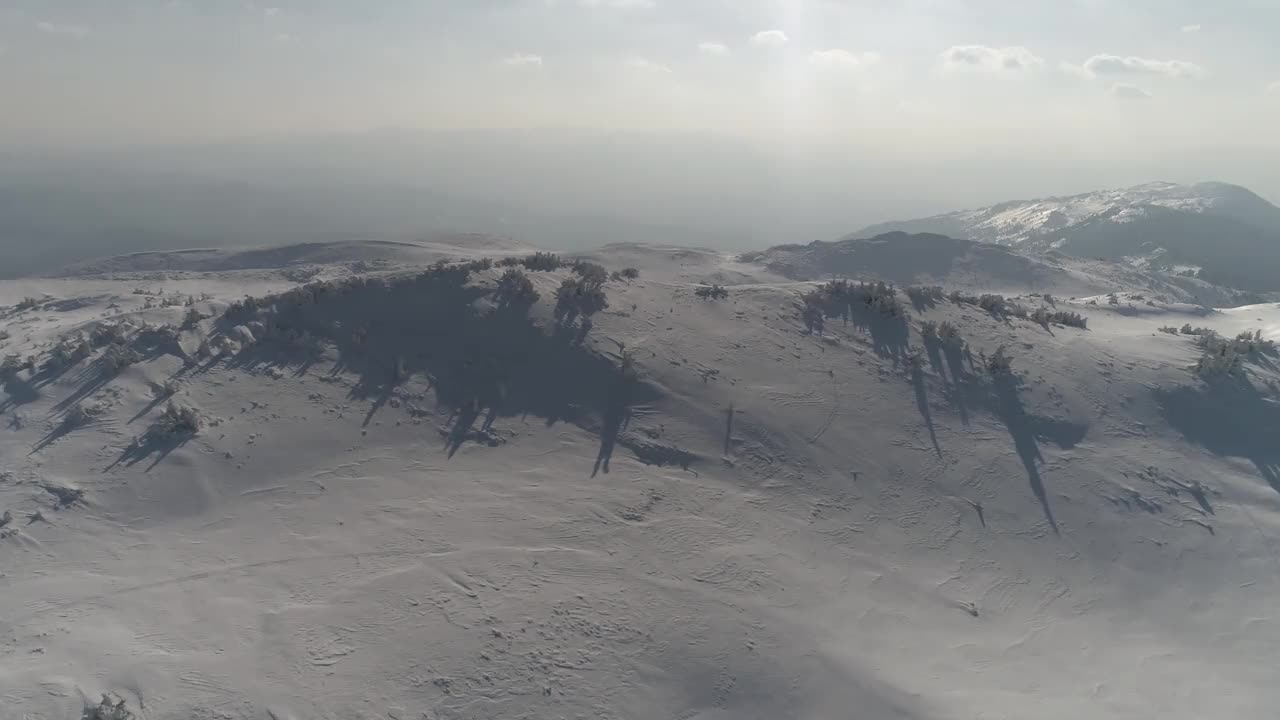 鸟瞰图冰冻森林与新鲜的雪覆盖的树木视频素材