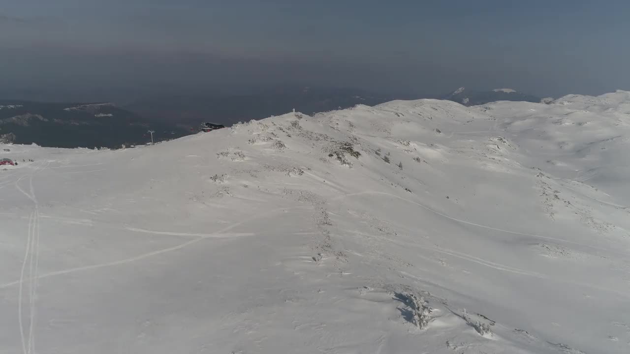 鸟瞰图冰冻森林与新鲜的雪覆盖的树木视频素材