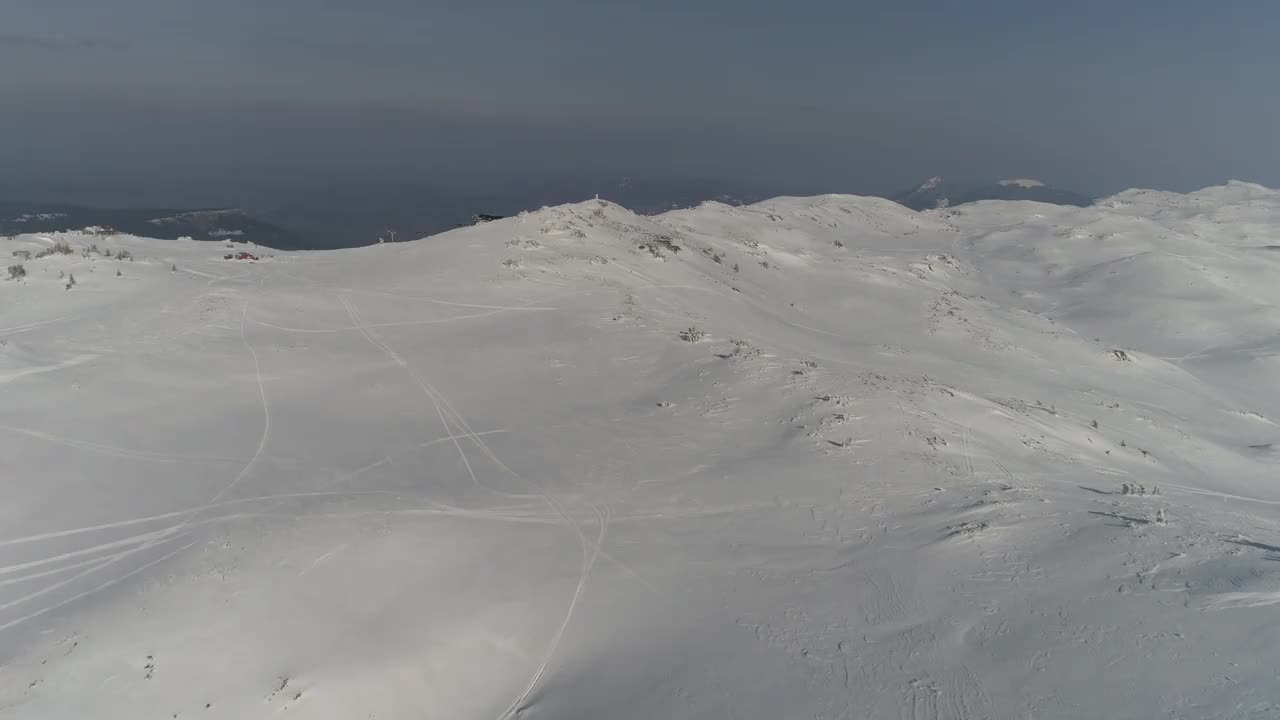 鸟瞰图冰冻森林与新鲜的雪覆盖的树木视频素材