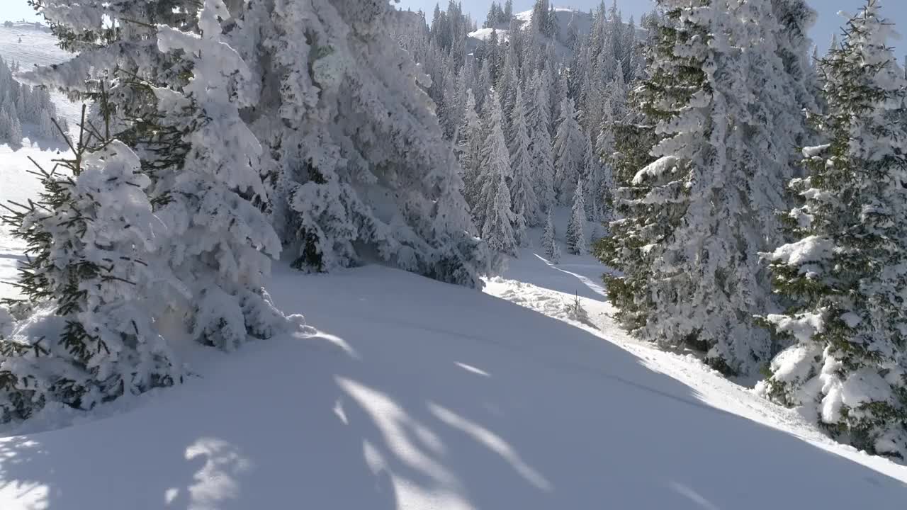 阳光明媚的冬日，滑雪胜地的新雪视频素材