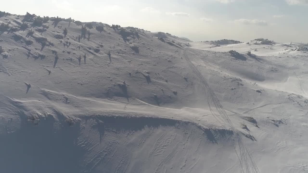 鸟瞰图冰冻森林与新鲜的雪覆盖的树木视频素材