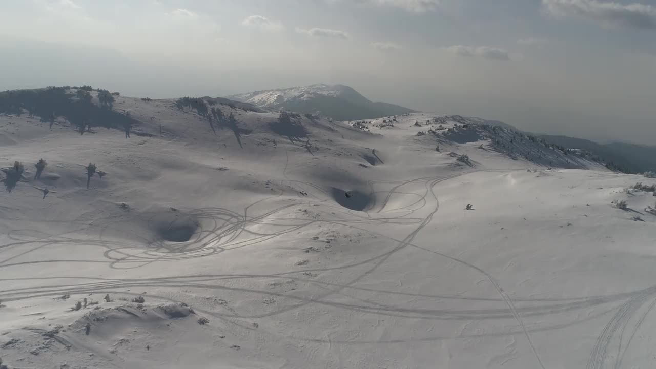 鸟瞰图冰冻森林与新鲜的雪覆盖的树木视频素材