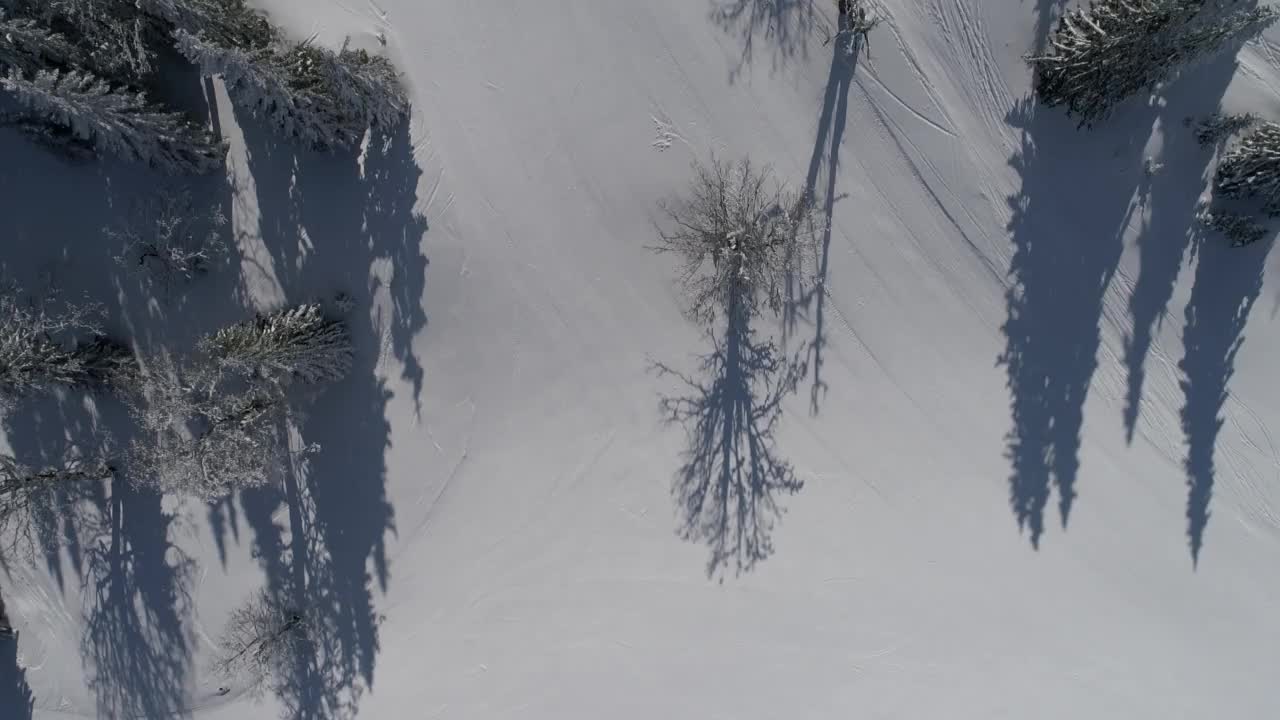 阳光明媚的冬日，滑雪胜地的新雪视频素材