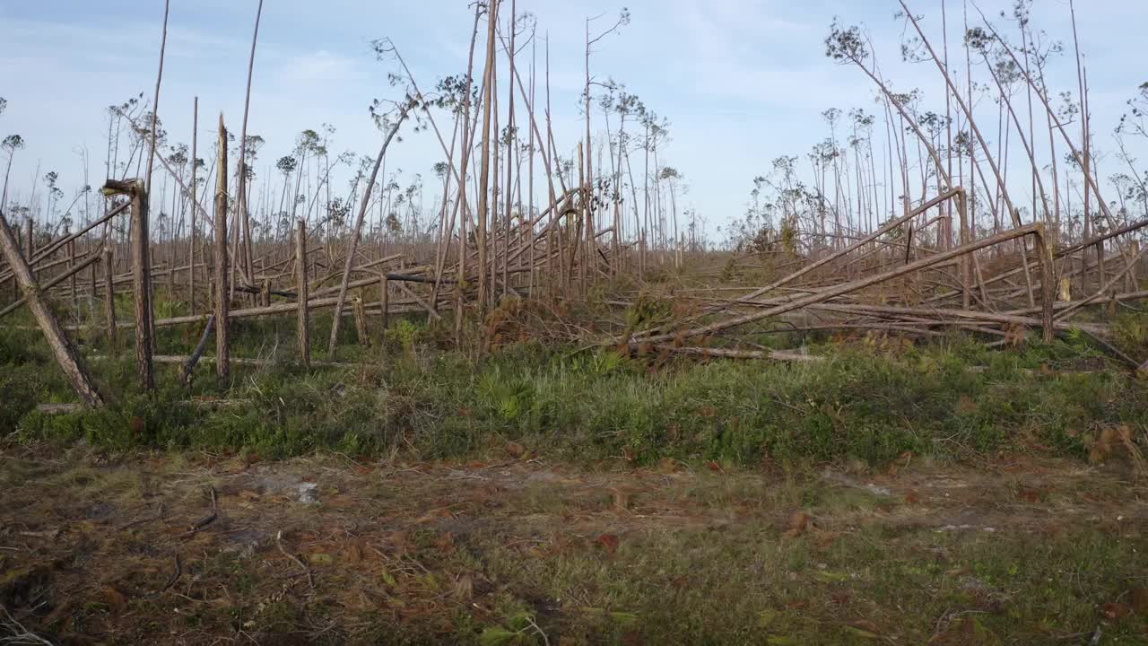 空中，pov，飓风迈克尔的后果，墨西哥海滩，美国佛罗里达州，2018年视频素材