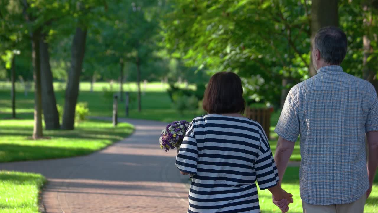 老夫妇自然背景，后视图。视频素材