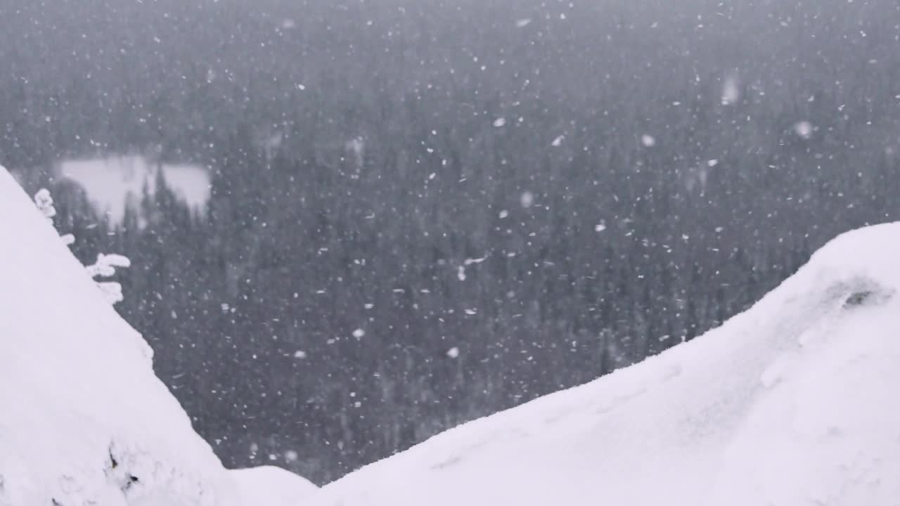 雪落在山坡上。风吹雪花。透过霜雾，可以看到树木的轮廓。冬季山谷降雪。由于寒潮，暴风雪开始了。视频素材