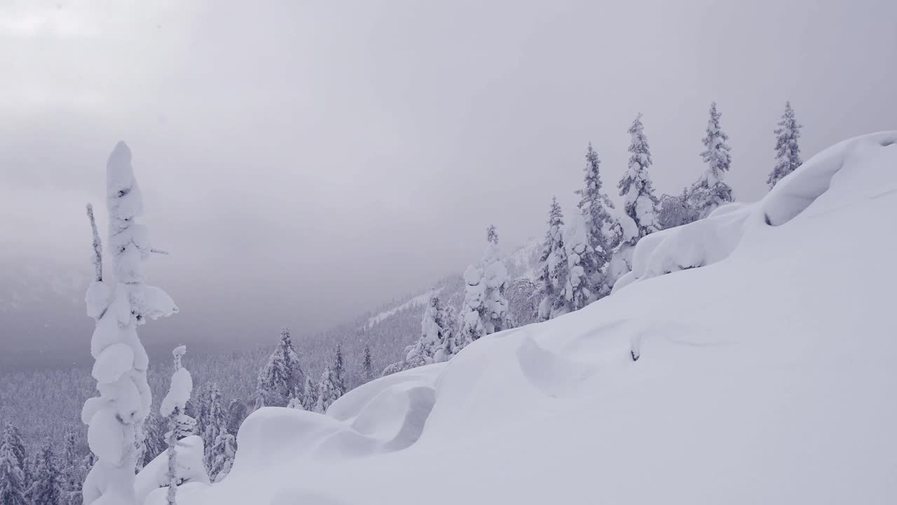 雪平静地落在森林山坡上。冬季景观与雪覆盖斜面。乌云密布的天空下立着雪堆和雪枞。由于下雪，地平线上的森林有雾视频素材