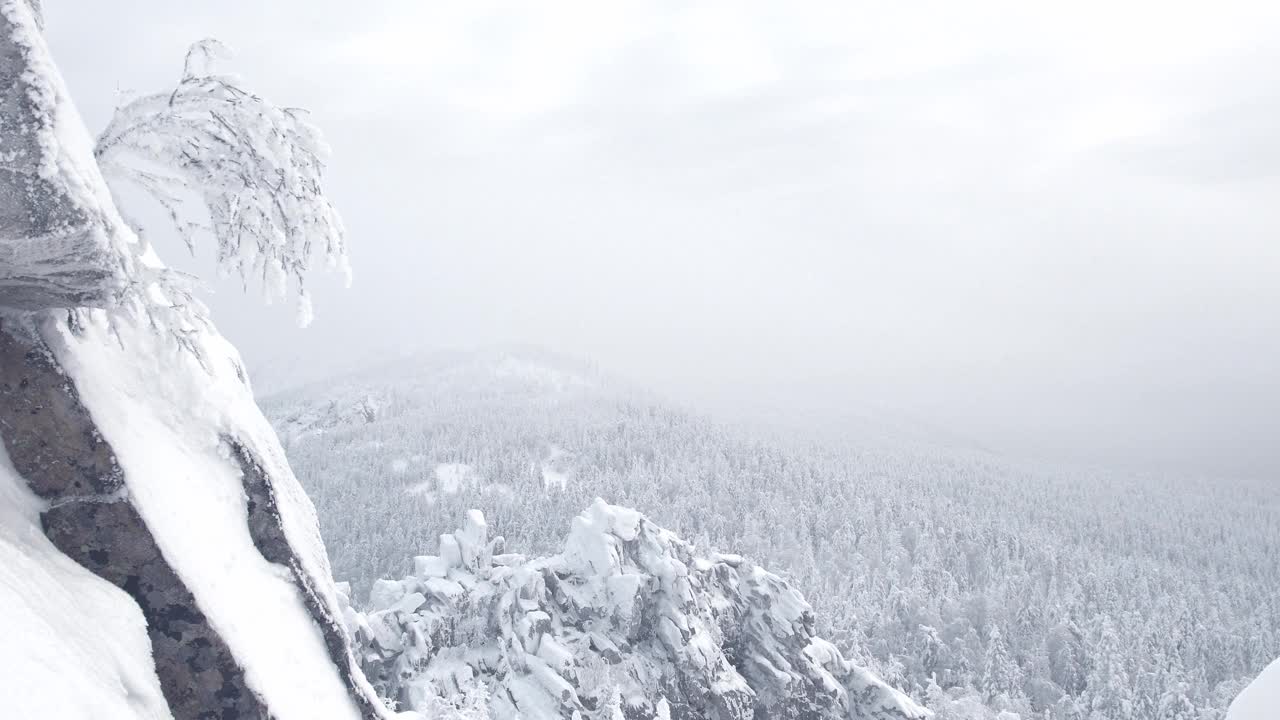 从雪谷的顶部观看。茂密的森林里有白霜和冬雾。悬崖上，树上结满了霜。雪落在岩石上。半幅全景图在薄雾中，为文本提供了空间。视频素材