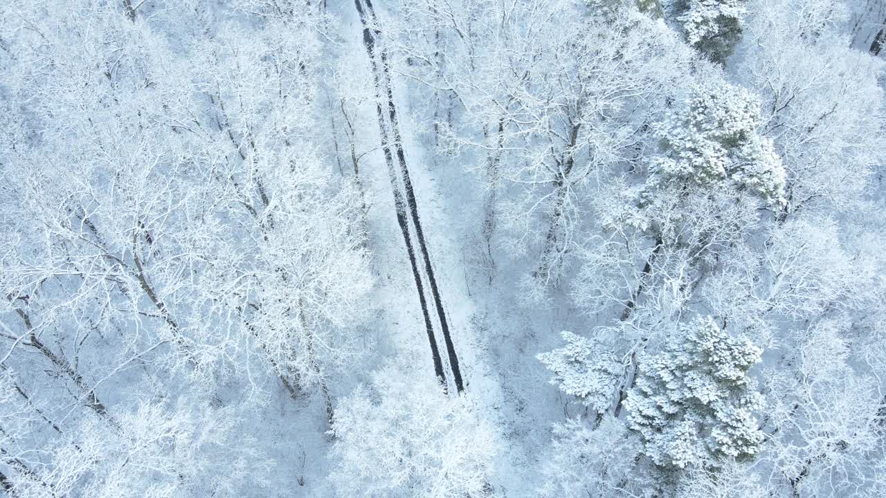 汽车通过积雪的森林小径移动的观点视频素材