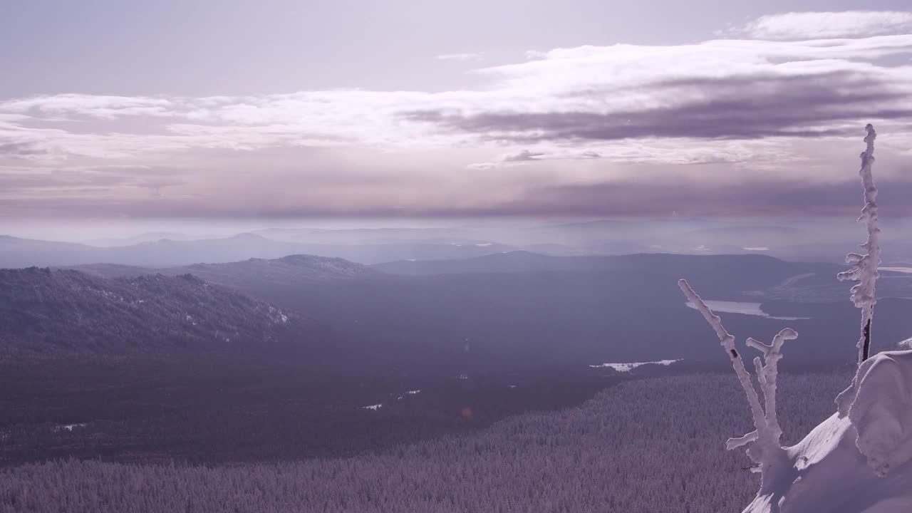 丁香天空下的森林雪谷。风吹雪花，雾轻。光秃秃的树枝生长在覆盖着厚厚的雾凇的山坡上。寒冷的冬日里，阳光明媚。视频素材