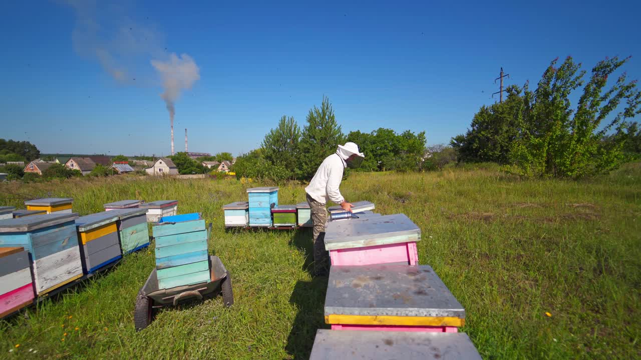 养蜂人检查蜜蜂。养蜂人在一个养蜂场的工业管道背景。绿色草地上的木蜂巢。视频素材