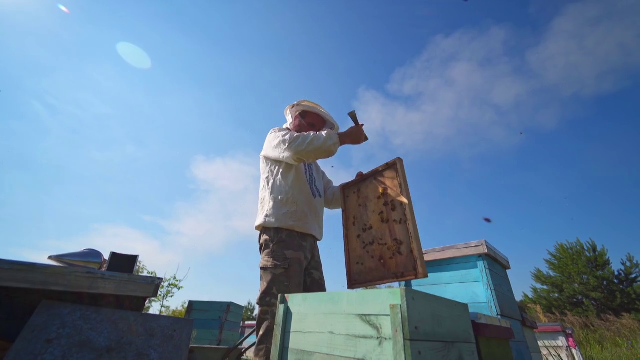 养蜂场上戴着防护帽的男子。在蓝天下，养蜂人用蜂巢的木架工作。视图从下面。养蜂。视频素材