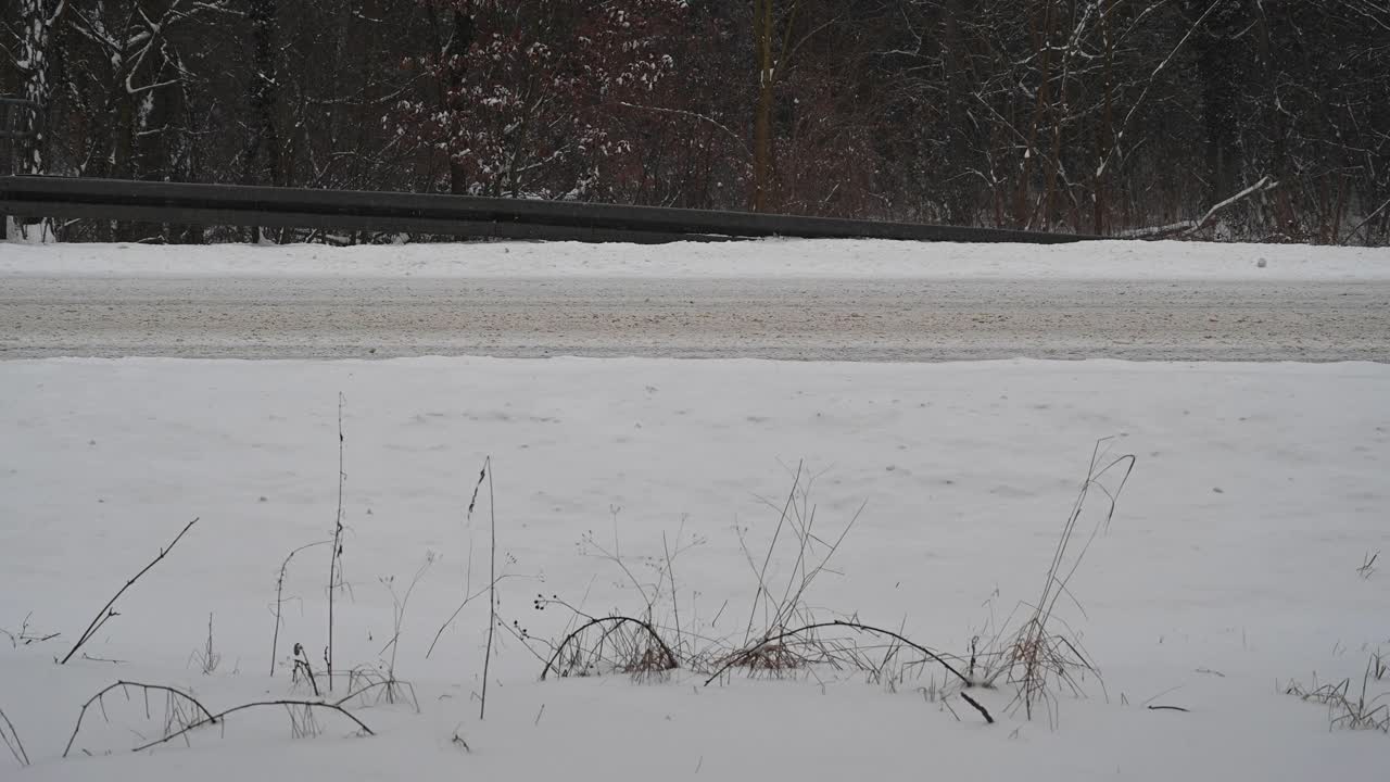 在暴风雪和强风期间，靠近被雪覆盖的森林的乡村道路。Bandenburg。德国视频素材