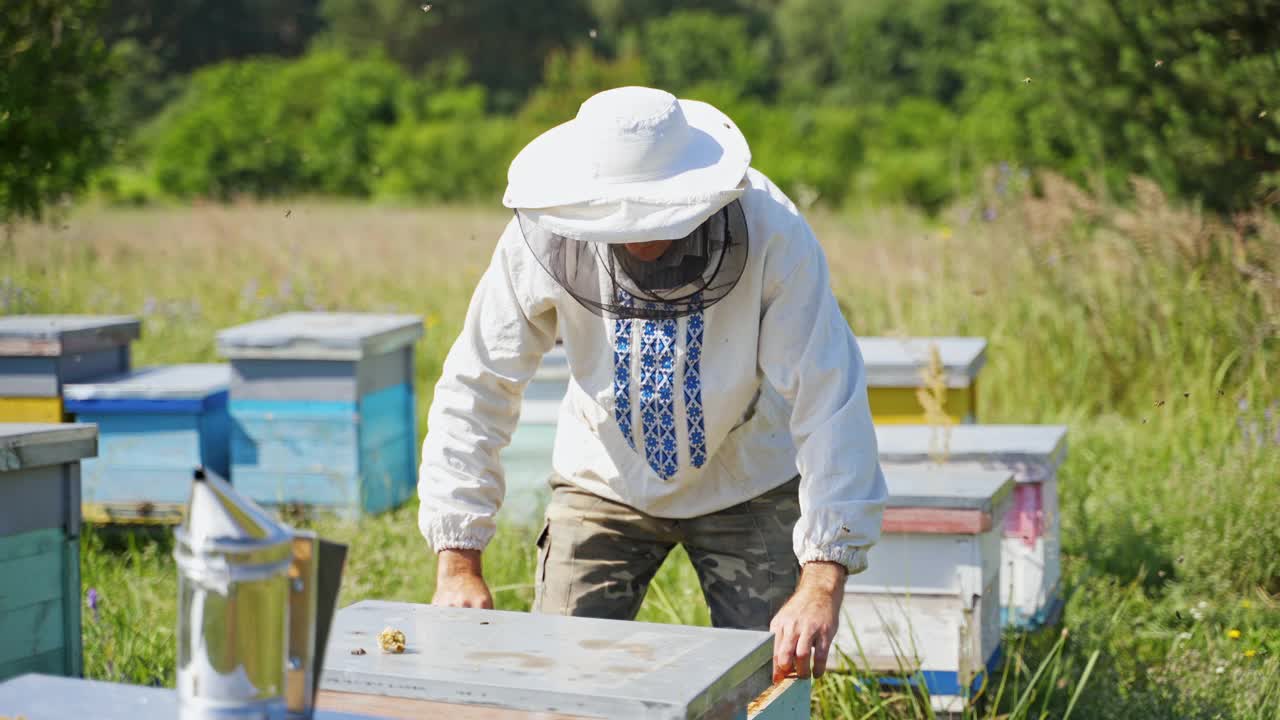 养蜂人在蜂房。养蜂人戴上防护帽，巡视大自然中的养蜂场。养蜂的概念。视频素材