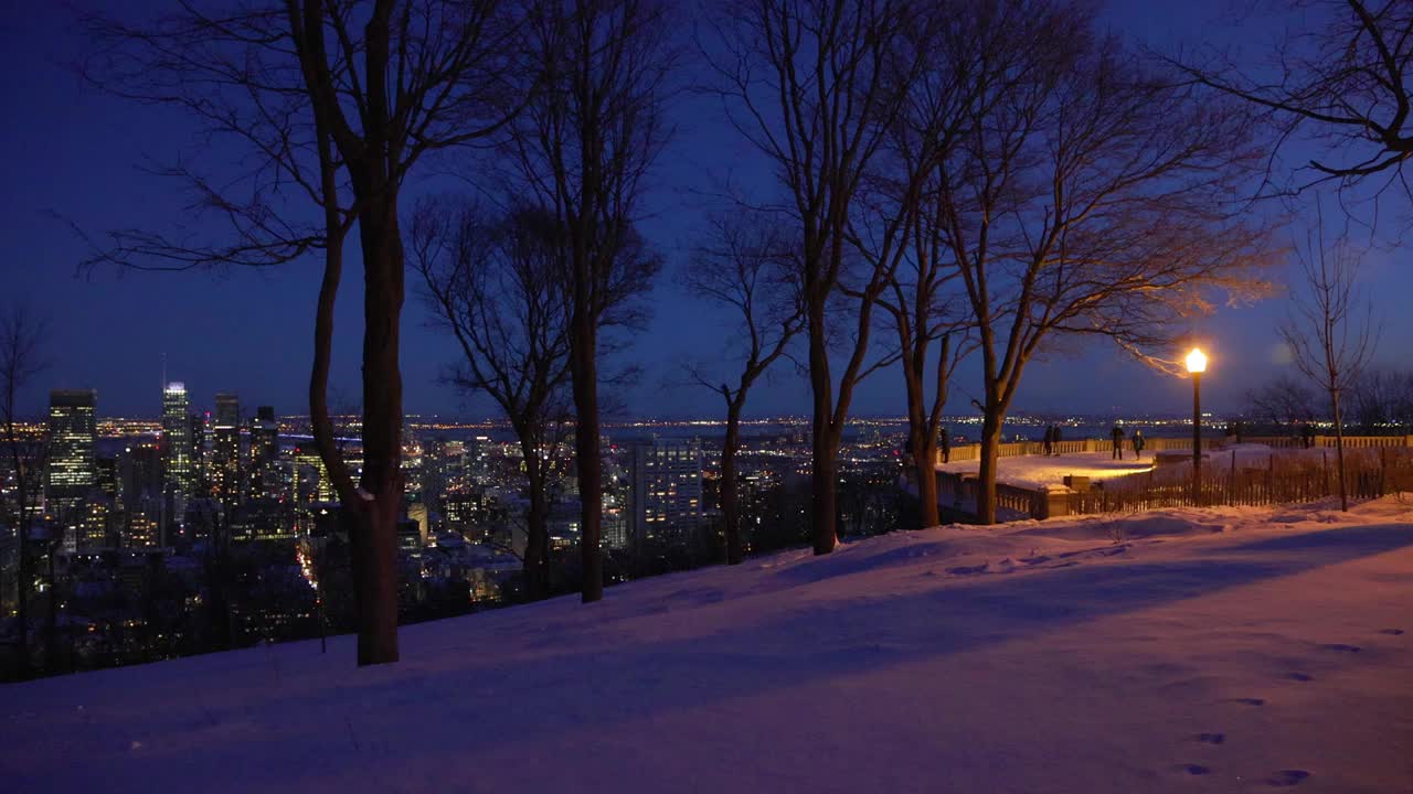 透过光秃秃的树木，摇摄皇家山观景台到蒙特利尔的夜空视频素材