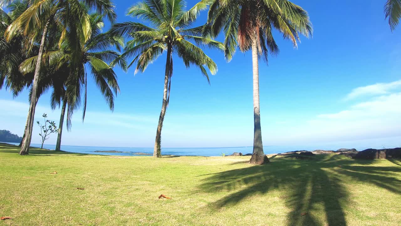 海滩上的棕榈树在蓝天清澈的空间，阳光明媚的热带海滩。暑假去南部海滩岛旅游。热爱大自然的人，在美丽的棕榈树下旅游，放松身心视频素材