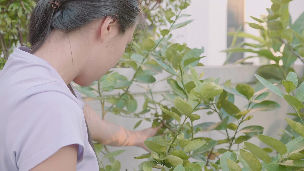 年轻女子在花园里工作，照料花草视频素材