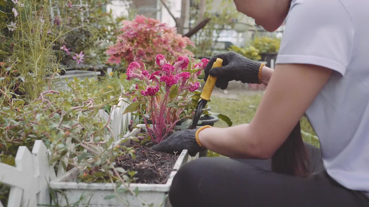 年轻女子在花园里工作，照料花草视频素材