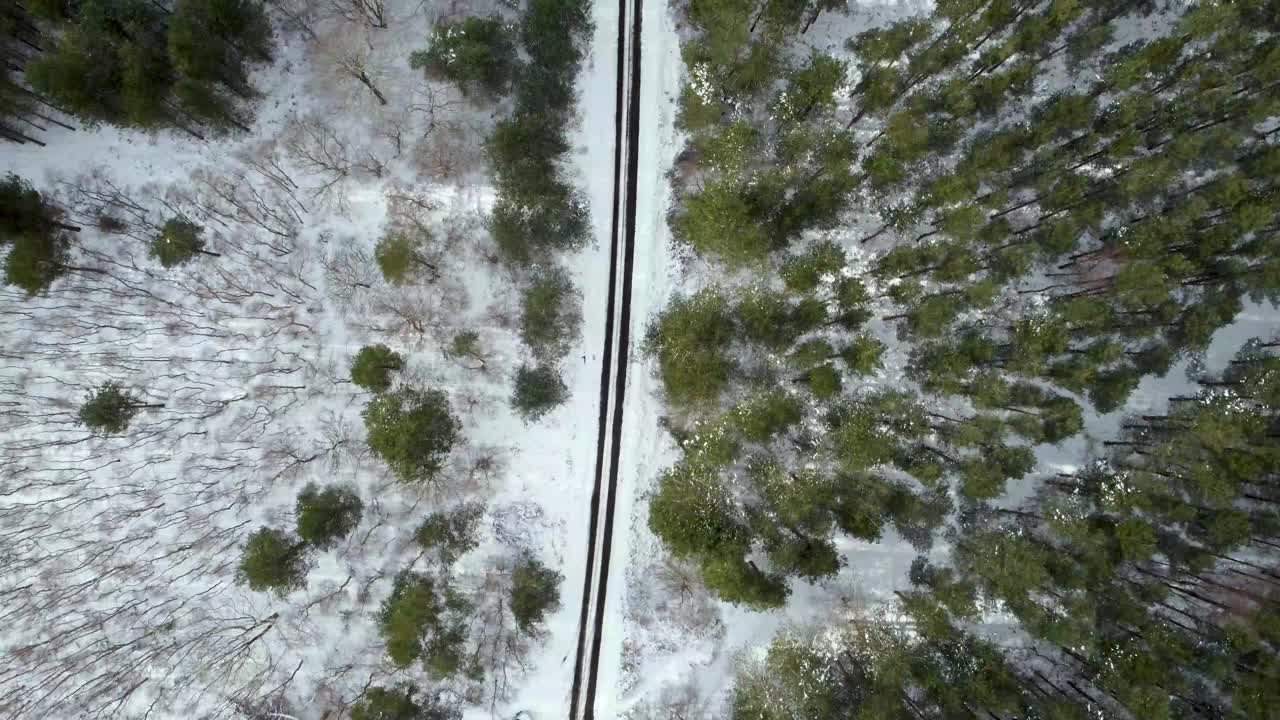 无人机拍摄的英国萨福克郡一片被雪覆盖的森林视频素材