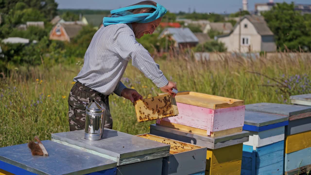 养蜂场的养蜂人。农夫用蜜蜂检查蜂巢。养蜂人在夏天在乡下照看蜜蜂。视频素材