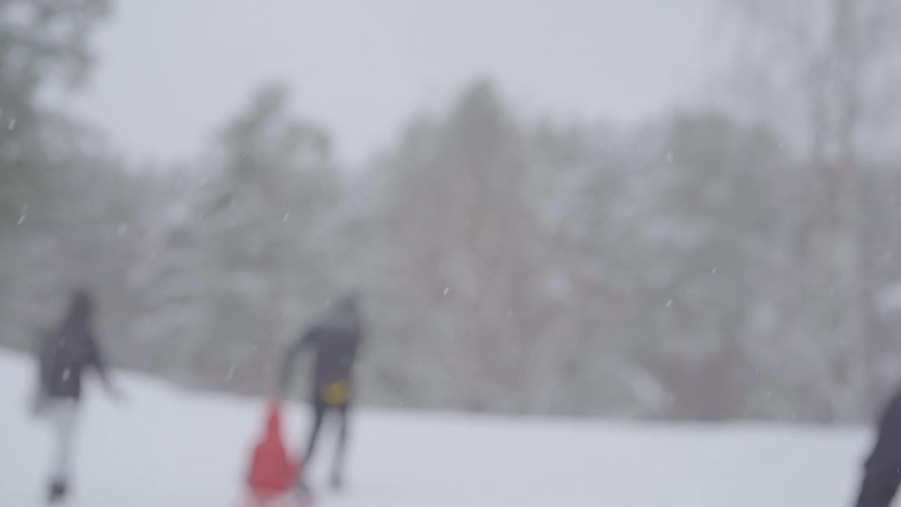 人们在雪地里滑着滑雪板在森林里奔跑。视频素材