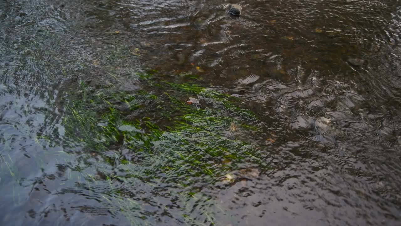 流水视频素材