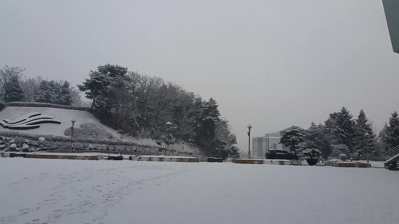 雪地和树木的景色，在一个公园在冬天视频素材